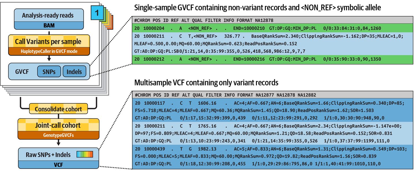 Ortak analiz
